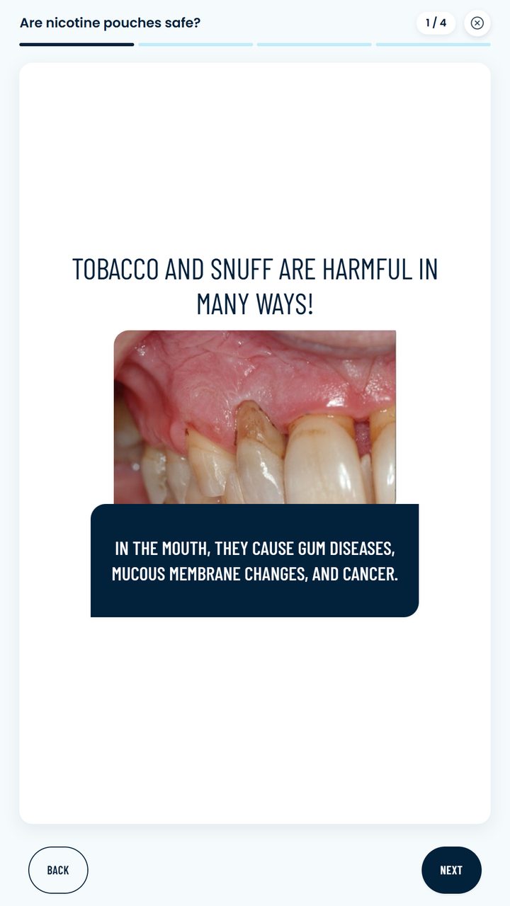 A short guide on nicotine pouches in the Teeth in shape menu